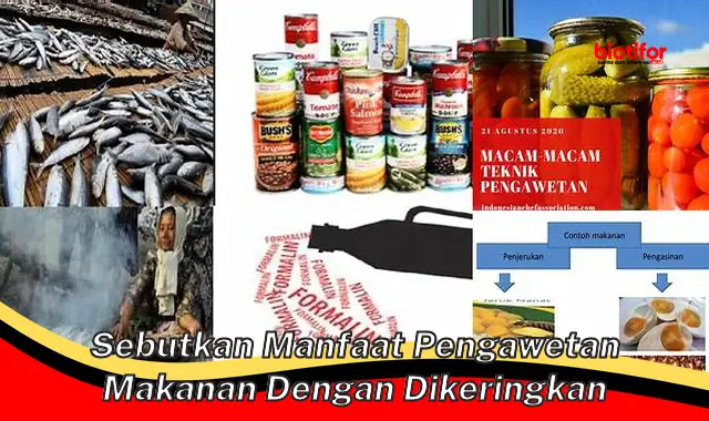 Temukan 5 Manfaat Pengawetan Makanan dengan Cara Dikeringkan yang Jarang Diketahui