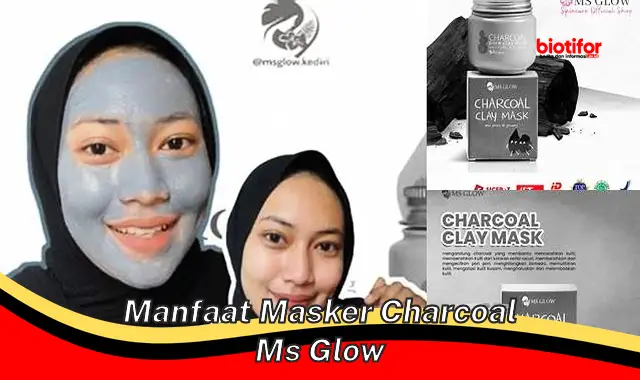 Temukan Manfaat Masker Charcoal MS Glow yang Jarang Diketahui