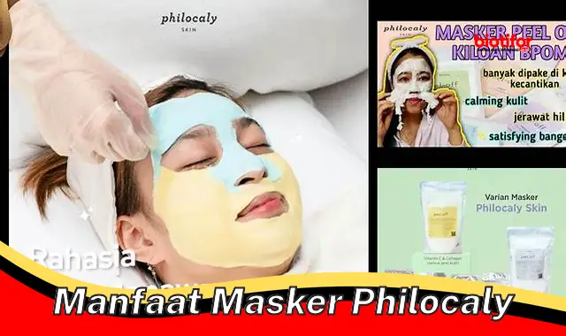 Temukan 5 Manfaat Masker Philocaly yang Wajib Kamu Ketahui