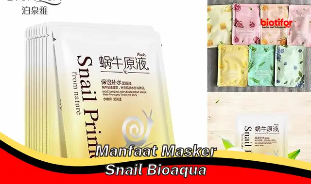 Temukan Rahasia Manfaat Masker Snail Bioaqua yang Jarang Diketahui