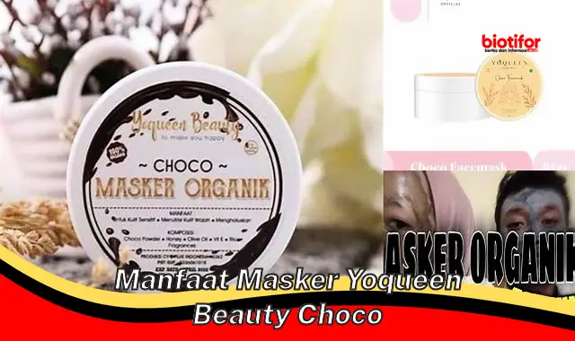 Temukan Manfaat Masker Yoqueen Beauty Choco yang Tak Terduga