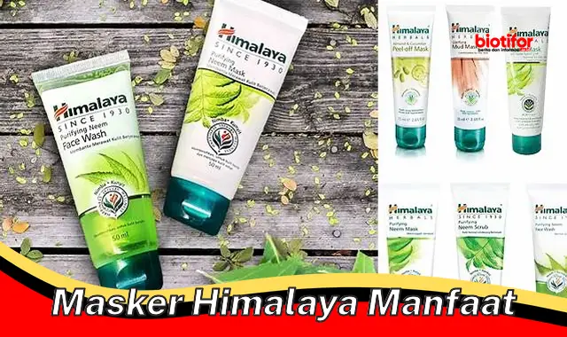 Manfaat Masker Himalaya yang Perlu Kamu Tahu