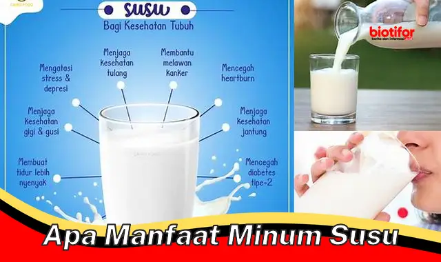Ungkap Fakta Jarang Diketahui: 5 Khasiat Minum Susu yang Tak Terduga
