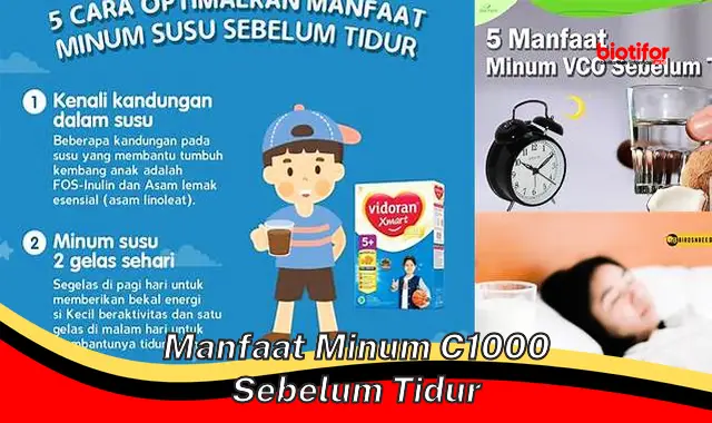 Temukan Manfaat Minum C1000 Sebelum Tidur, Yang Jarang Diketahui!