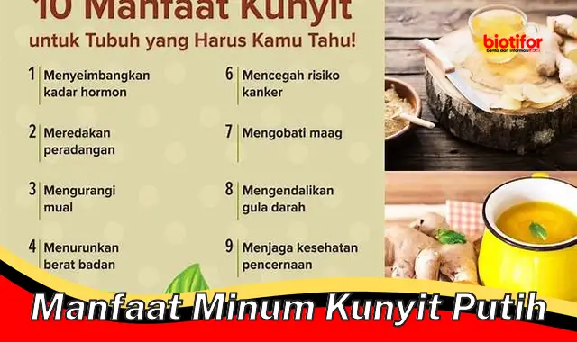 manfaat minum kunyit putih manfaat minum kunyit putih