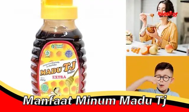 Temukan Manfaat Minum Madu TJ Tersembunyi yang Perlu Diketahui