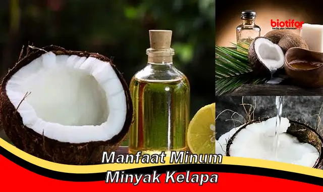 Temukan Manfaat Minyak Kelapa yang Perlu Anda Tahu