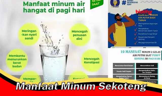 Temukan 5 Manfaat Minum Sekoteng Langka yang Jarang Diketahui