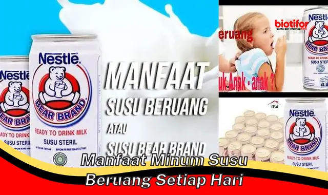 Temukan Manfaat Minum Susu Beruang Setiap Hari, Jarang Diketahui