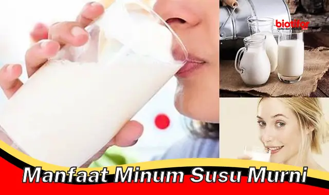 Temukan Manfaat Minum Susu Murni yang Jarang Diketahui
