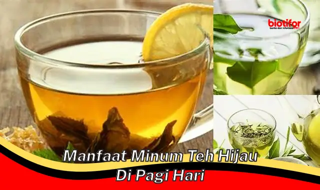 Temukan 5 Manfaat Minum Teh Hijau di Pagi Hari yang Jarang Diketahui