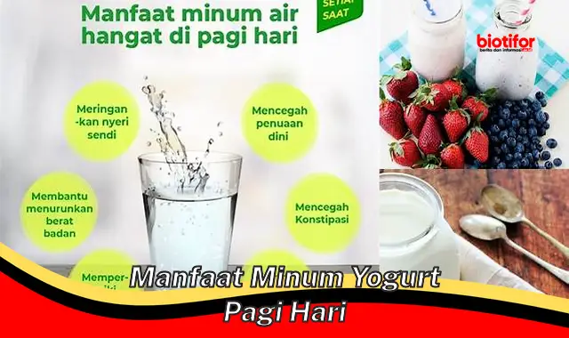 Temukan Manfaat Minum Yogurt Pagi Ini yang Jarang Diketahui