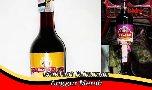 Ungkap 5 Manfaat Minuman Anggur Merah yang Jarang Diketahui