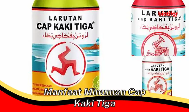 Temukan Manfaat Minuman Cap Kaki Tiga yang Jarang Diketahui