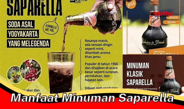 manfaat minuman saparella