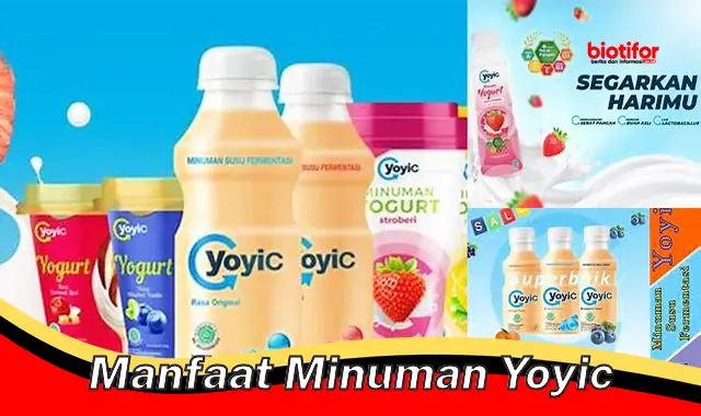 Rahasia Manfaat Minuman Yoyic yang Jarang Diketahui