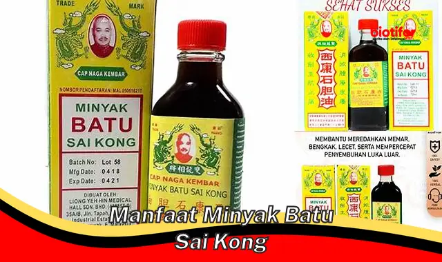 Temukan Rahasia Minyak Batu Sai Kong yang Perlu Kamu Tahu