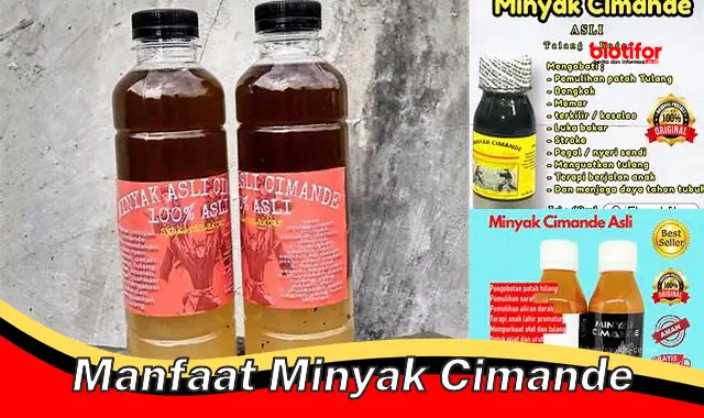 Temukan Manfaat Tersembunyi Minyak Cimande yang Jarang Diketahui