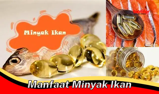 Temukan Manfaat Minyak Ikan yang Jarang Diketahui