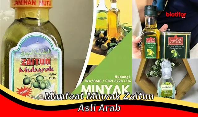 Temukan 5 Khasiat Minyak Zaitun Asli Arab yang Jarang Diketahui