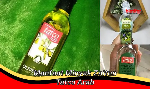 5 Manfaat Minyak Zaitun Tatco Arab yang Jarang Diketahui