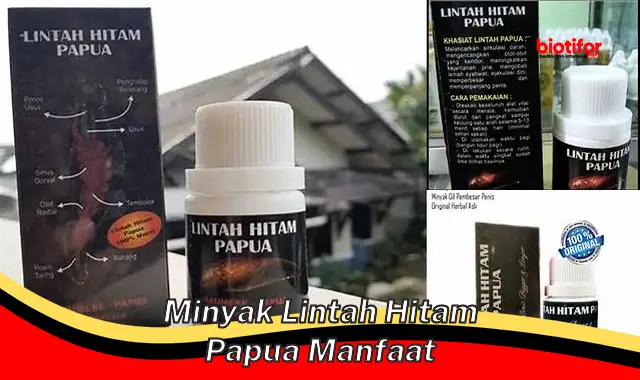 Temukan Manfaat Minyak Lintah Papua Hitam yang Jarang Diketahui