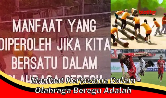 Temukan Manfaat Kerja Sama dalam Olahraga Beregu yang Jarang Diketahui