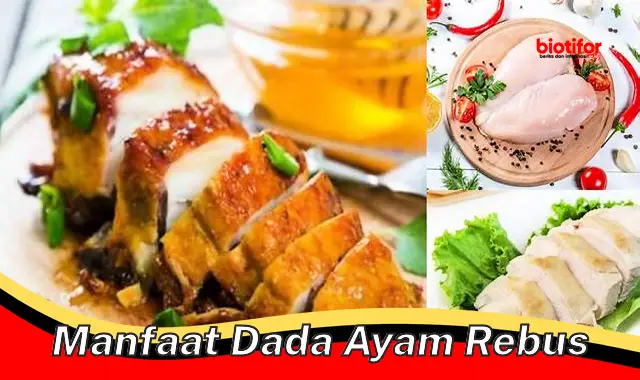 Ungkap Rahasia Manfaat Dada Ayam Rebus yang Jarang Diketahui