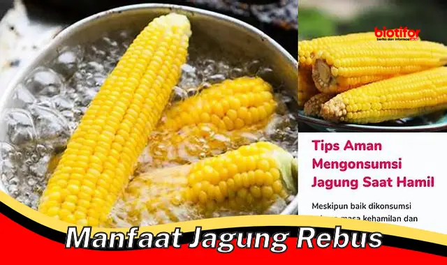 Temukan 5 Manfaat Rebusan Jagung yang Jarang Diketahui