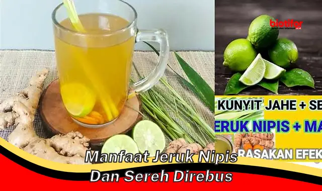 Temukan Manfaat Rebusan Jeruk Nipis dan Sereh yang Jarang Diketahui