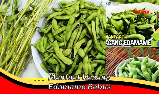 Temukan Khasiat Edamame Rebus yang Jarang Diketahui