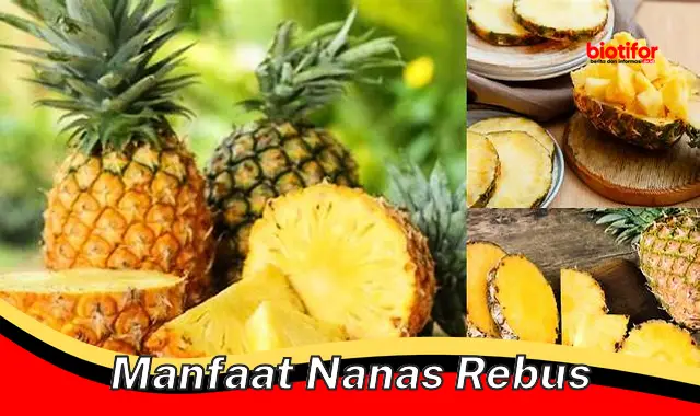 5 Manfaat Nanas Rebus yang Jarang Diketahui, Wajib Diketahui!