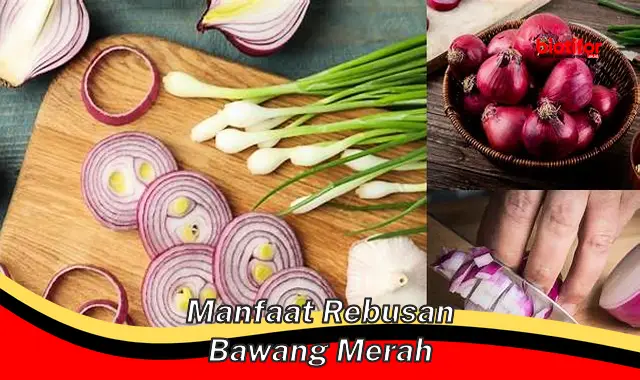 Temukan 5 Manfaat Rebusan Bawang Merah yang Jarang Diketahui