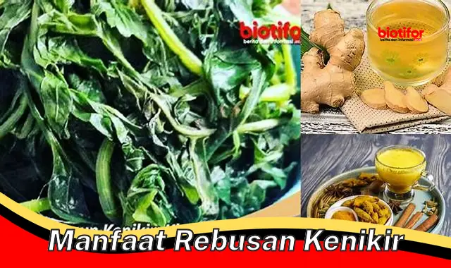 Temukan Manfaat Rebusan Kenikir yang Jarang Diketahui