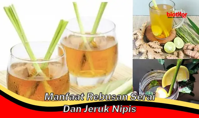 Temukan 5 Khasiat Rebusan Serai dan Jeruk Nipis yang Jarang Diketahui