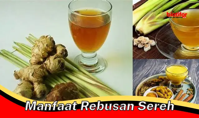 Temukan 5 Manfaat Rebusan Serai yang Jarang Diketahui