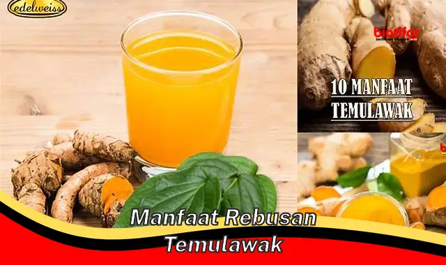 Temukan Manfaat Rebusan Temulawak yang Jarang Diketahui