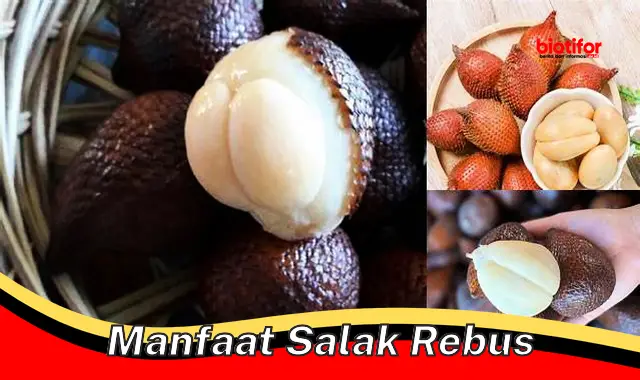 Temukan Manfaat Rebusan Salak yang Jarang Diketahui