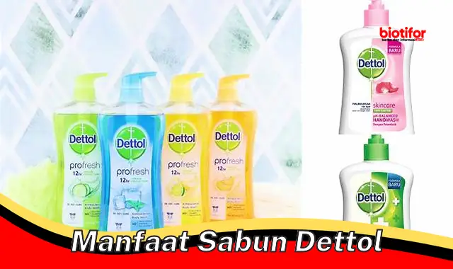 Temukan Manfaat Sabun Dettol: Rahasia yang Jarang Diketahui