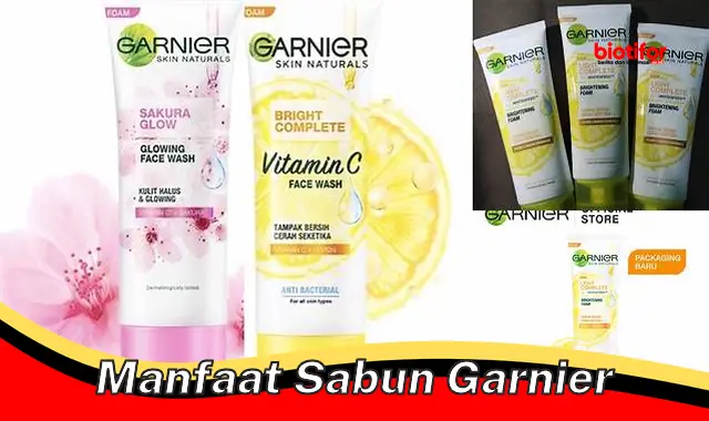 Temukan Manfaat Sabun Garnier yang Jarang Diketahui