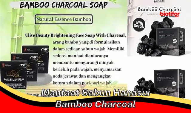 Terungkap 5 Manfaat Sabun Hanasui Bamboo Charcoal yang Jarang Diketahui