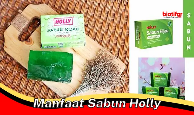 Temukan Manfaat Sabun Holly yang Jarang Diketahui