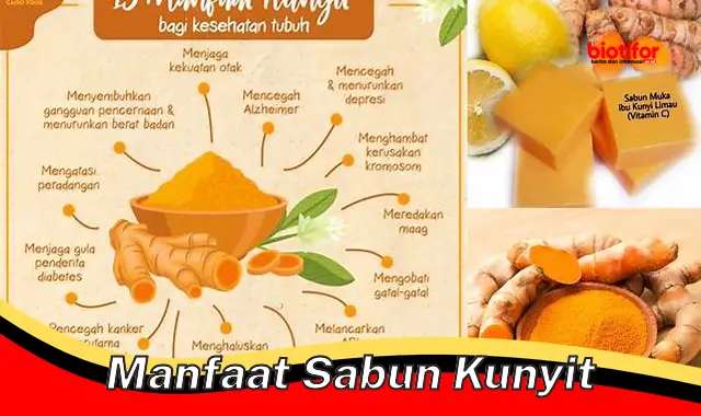 Temukan Manfaat Sabun Kunyit yang Jarang Diketahui