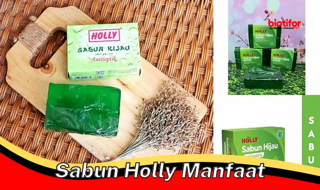 Temukan Manfaat Sabun Holly yang Belum Diketahui