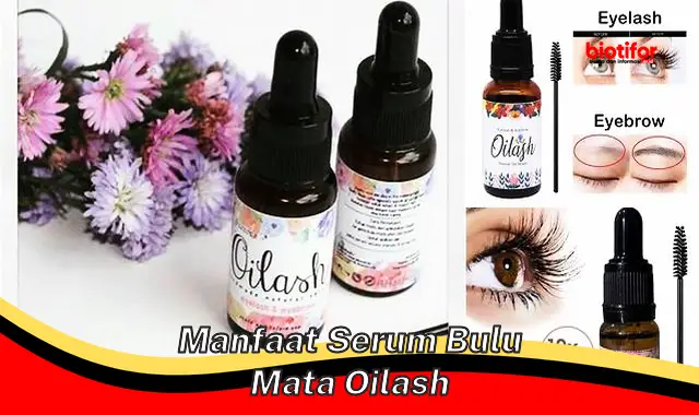 Temukan Rahasia Serum Bulu Mata Oilash yang Jarang Diketahui