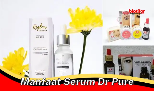 Temukan 5 Manfaat Serum Dr Pure Jarang Diketahui