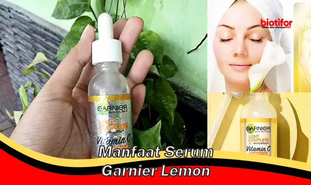 Temukan 5 Manfaat Serum Garnier Lemon Yang Jarang Diketahui