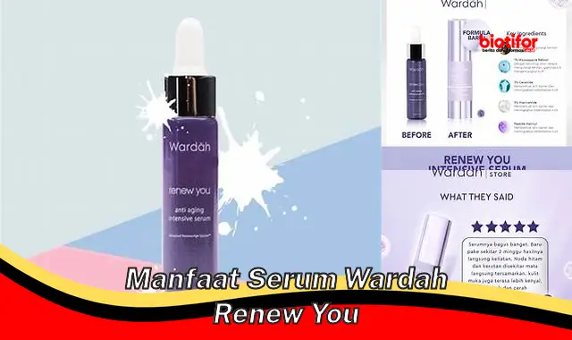 Temukan Rahasia Manfaat Serum Wardah Renew You yang Jarang Diketahui