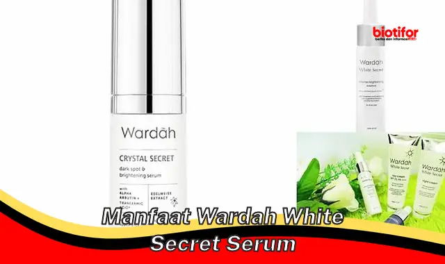 Temukan Manfaat Wardah White Secret Serum yang Jarang Diketahui