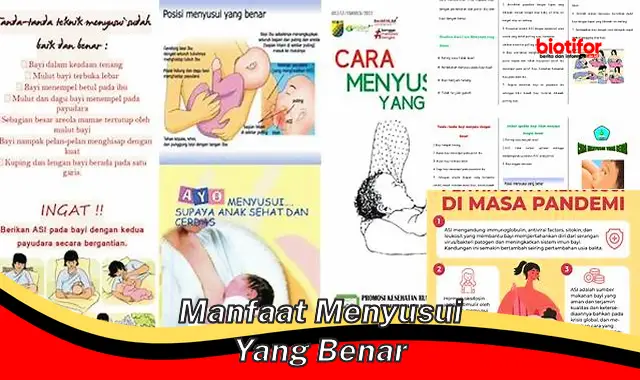 Temukan Manfaat Menyusui yang Benar yang Jarang Diketahui